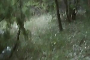 Wild outdoor sex can indeed spice up your sex life