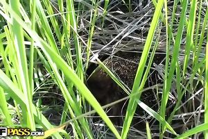 Blonde legal age teenager blows in the field and enjoys rear banging