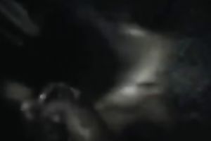 Exotic prostitute sucks my dark 10-Pounder and gets facialed