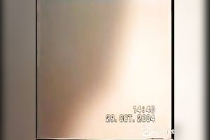 Lewd doxy sucks my dong until that babe acquires the spunk this babe desires