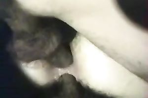 Double penetration sex for my small white excited white women