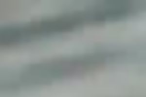 Just a freaky latin chick pair fucking on the floor in public place