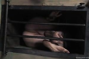 Good looking dark brown with large pantoons is awaiting for her torture