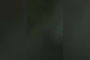 Young dark brown girlfriend with fluffy hair and large gazoo rides me on top