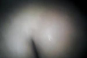 I love screwing my bootyful girlfriend from behind
