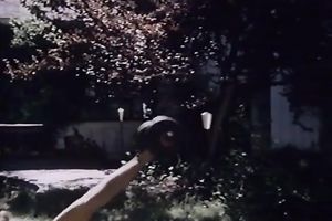 Pretty dark brown pippin copulates a concupiscent guy in bedroom