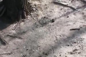 Just a cute Russian brunette hair in public pees in her panties