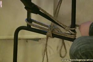 Just an amateur Russian dark brown bonded on the table