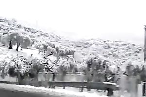 My fleshly GF shows her amazing caboose for the livecam