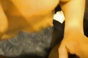 Mature and despairing white strumpet blows my BBC on web camera