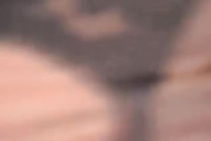 Chunky and large dark brown cougar stripteasing on webcam