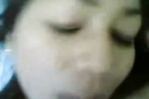 My Asian chick enjoys vehement POV sex with me