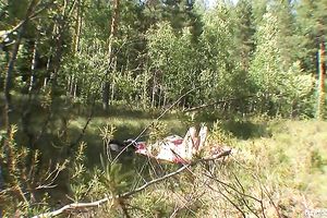 Hot tart acquires ful exposed at the lake and fondles herself