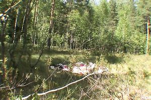 Hot tart acquires ful exposed at the lake and fondles herself