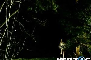 Sizzling brunette hair milf works on a shaft in terrific retro movie