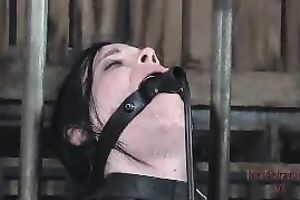 Sexy dark brown pippin with pale skin is bounded and tortured