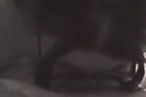 Now that babe proves that that babe is just a smutty milf wench