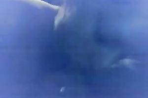 My slutty co-worker sucks my knob and takes it in her backdoor