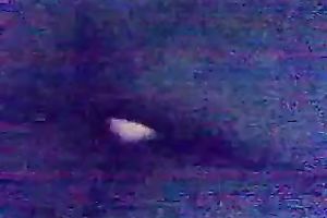 My adorable dark brown wife sucks and rides my cock in hardcore POV video