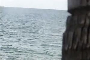 A episode showing an Asian honey engulfing her lover's penis in a tent