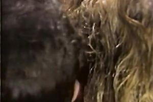 Several bawdy tramps take filthy shower with one kinky dude