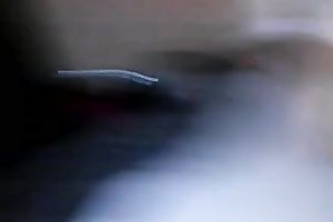 My nasty girlfriend can't live without it when I fuck her each morning