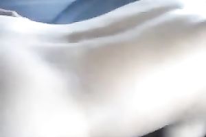 Taiwanese street hooker doesn't mind having sex in a car