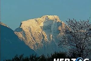 Sexy redhead honey receives nailed hard untill the dude cums on her slit