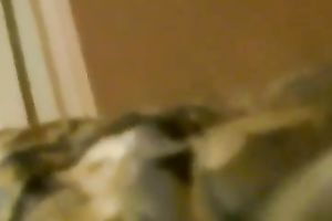 Fucked white bitch's fur pie with jo-bag in her bedroom