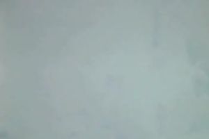 Charming lesbo GF with merry mambos is tongue fucking my fur pie on webcam