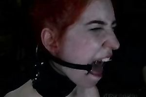 Calico acquires her snatch fingered and rubbed with a BDSM toy