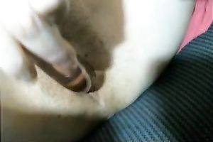 I love to fuck my constricted cunt with my glass vibrator in front of my web camera