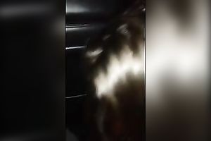 Spoiled white sweetheart with silky hair knows how to give a sloppy oral stimulation