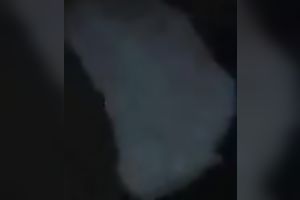 Mature wife is doing a great job blowing my subrigid knob