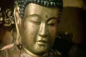 Dark haired barefaced slut sucks ramrod of unknown chap unfathomable mouth