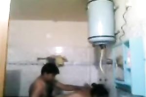 Plump exotic milf enjoys rear banging in the washroom