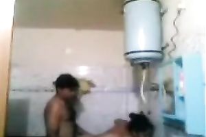 Plump exotic milf enjoys rear banging in the washroom