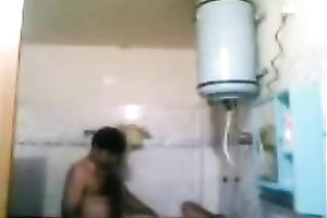 Plump exotic milf enjoys rear banging in the washroom