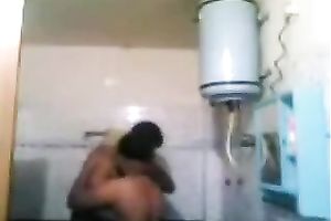 Plump exotic milf enjoys rear banging in the washroom