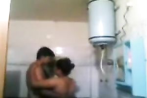 Plump exotic milf enjoys rear banging in the washroom