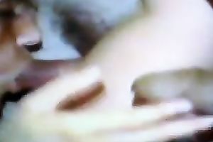 Brunette milf sucks a small in number weenies and gets facialed hard