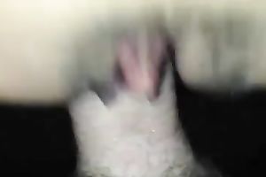 My hubby rubs his rod against my cookie before fucking it