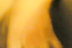 My Arab dirty slut wife is playing with her banana in front of me