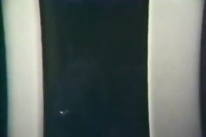 Light head bitchy sweetheart got enticed by perverted fellow