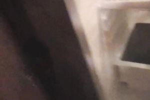 Cute slender brunette babe from Russian Federation wishes to eat penis with jism