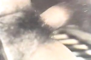 Brunette diminutive milf blows schlong to acquire it ready for her hirsute pussy