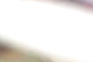 I'd rather fuck a breasty and wild tgirl than a bitchy hooker