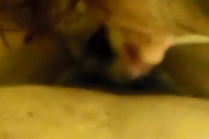 My weenie crazed girlfriend knows how to give awesome head