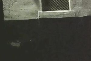 Slutty and perverted bitches dark brown and blondie gets screwed hard