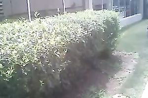 I was spying on this bulky ass chick all the way to her place